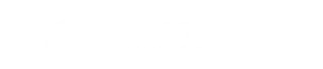 Анна Запорожец, Директор по развитию компании