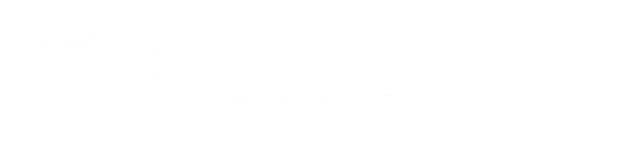 Анна Запорожець, Директор з розвитку компанії